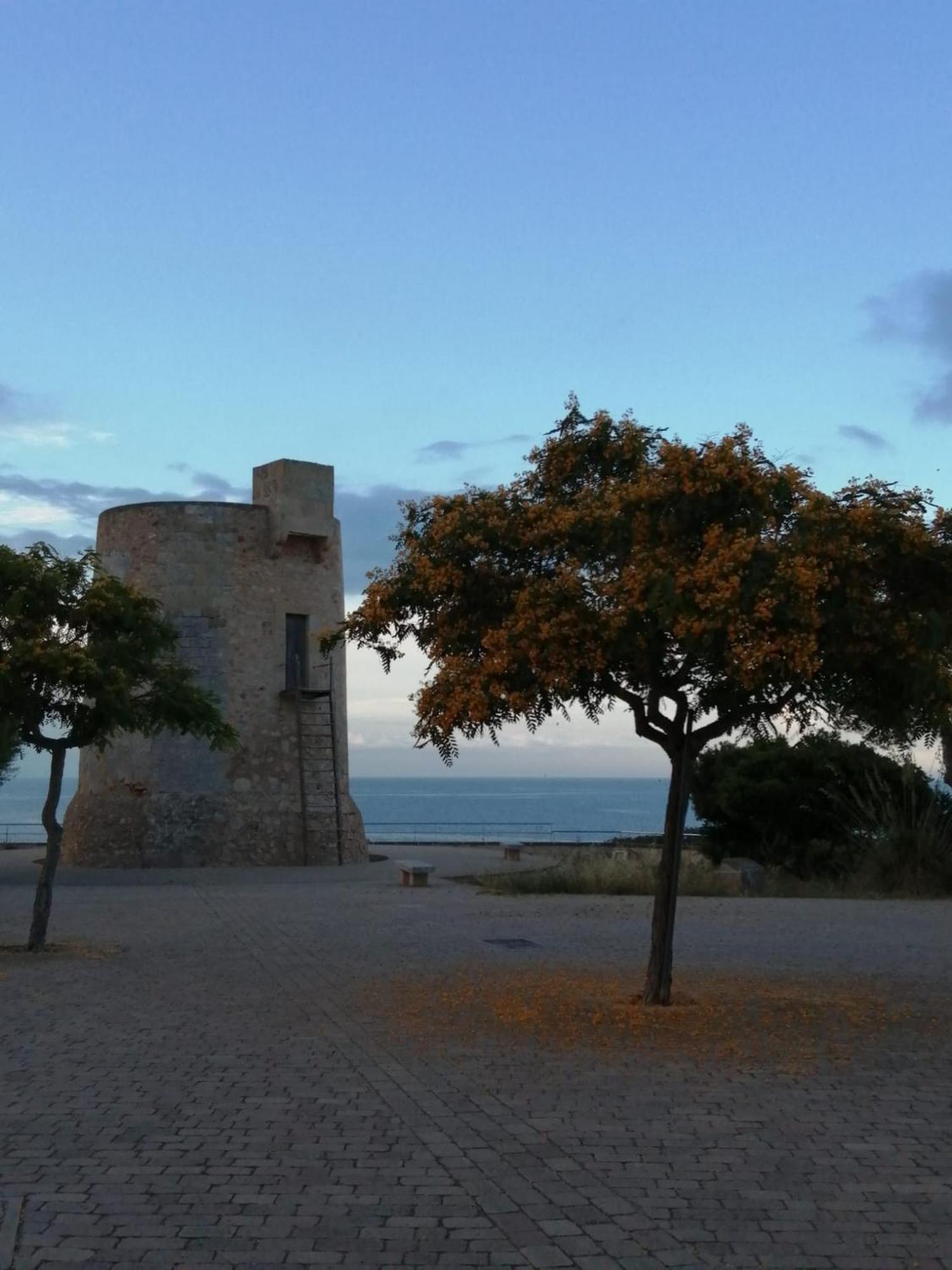 Apartamento Jordi Cala Figuera (Mallorca)